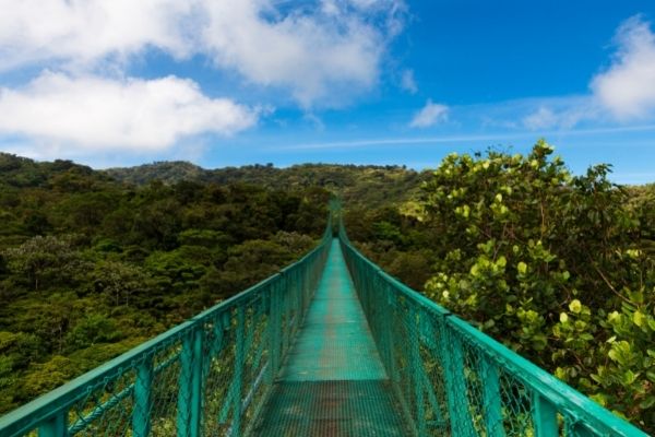 puente en medio de la naturaleza